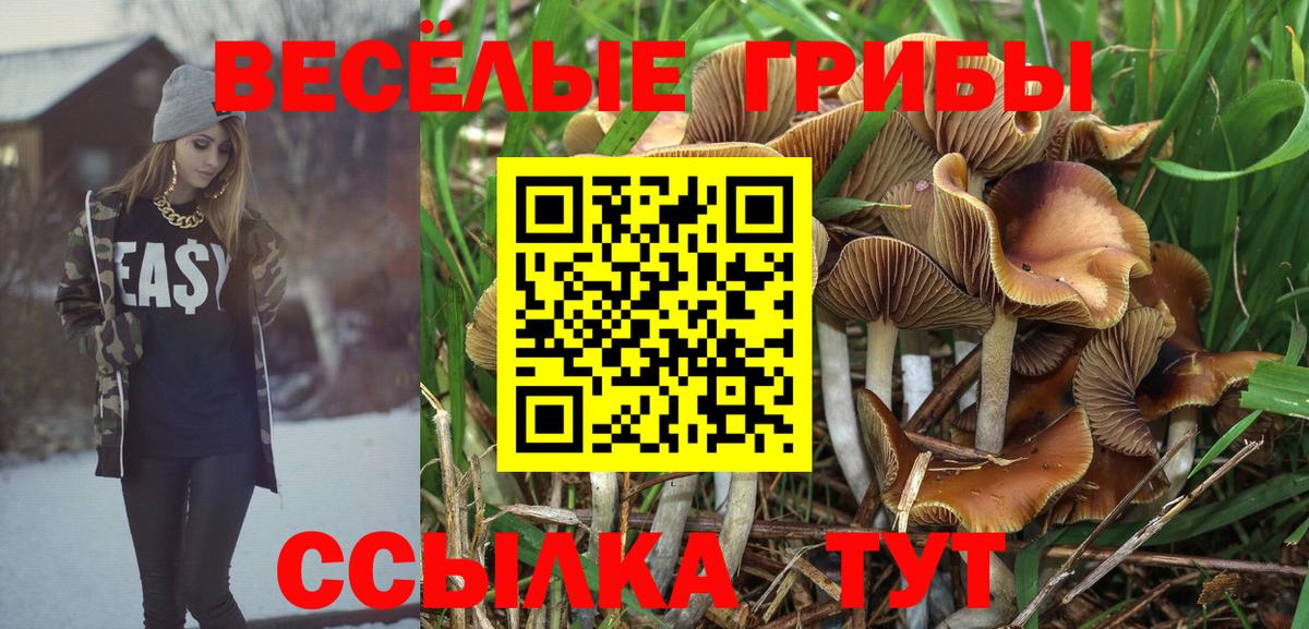 Псилоцибиновые грибы Magic Shrooms  Вход с VPN  Бахчисарай  Галлюциногенные грибы MAGIC MUSHROOMS 